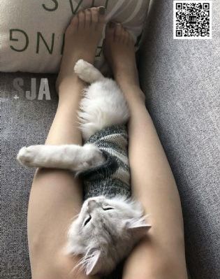 韩国激情合集_在线观看电视剧