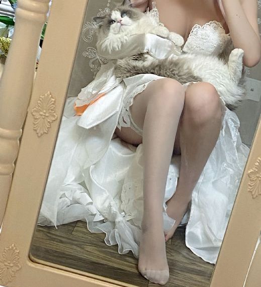 诱人的飞行在线观看_1080在线手机播放