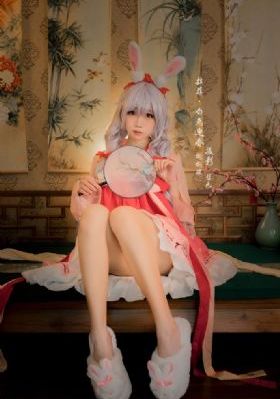 《黑狐》电视剧_手机免费观看